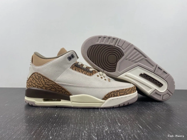 Kicktheory 3 Air Jordan Palomino CT8532-102 0815